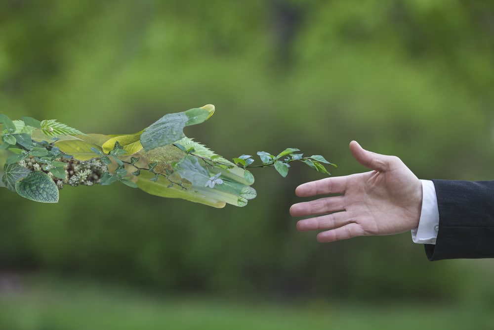 Green Transition Fund