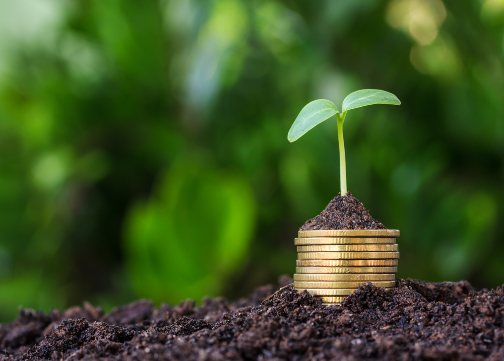 Irish Innovation Seed Fund