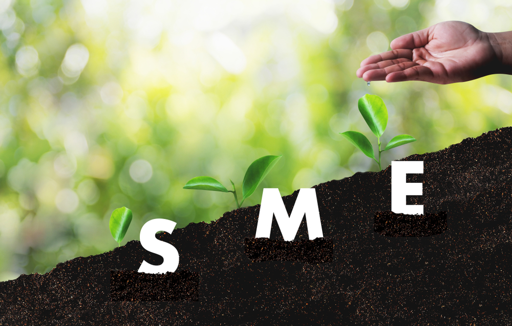 SME and Entrepreneurship Taskforce