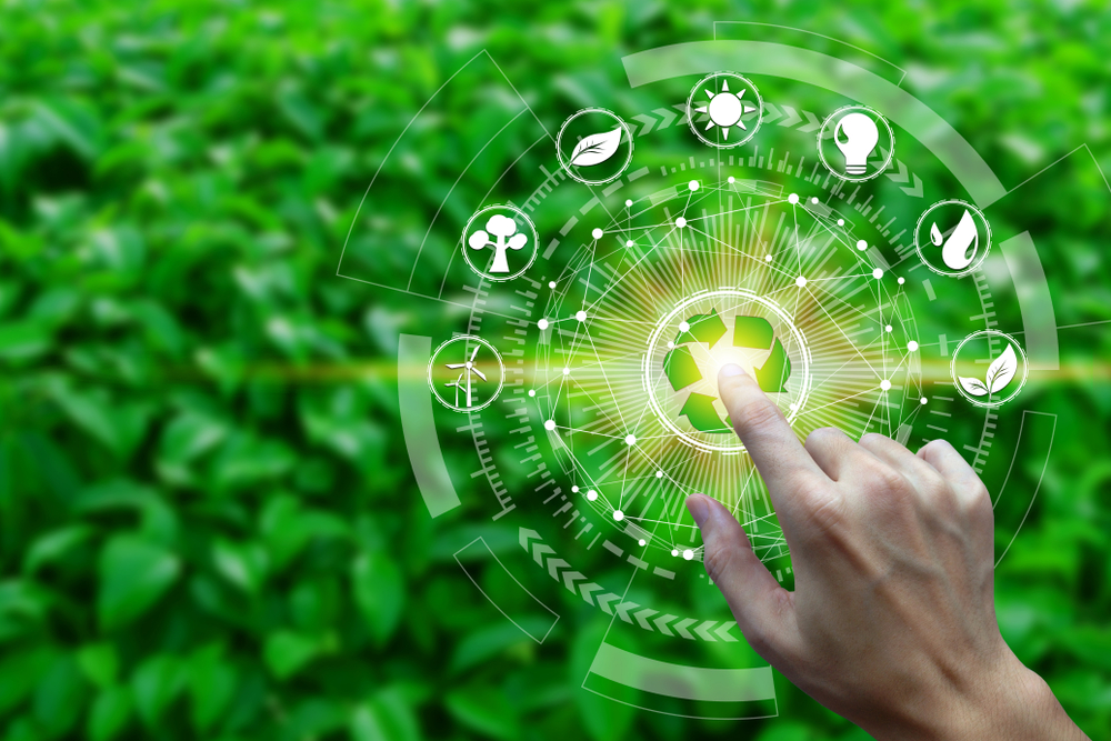SNS Expo 2022 & Growing a Sustainable Business Conference