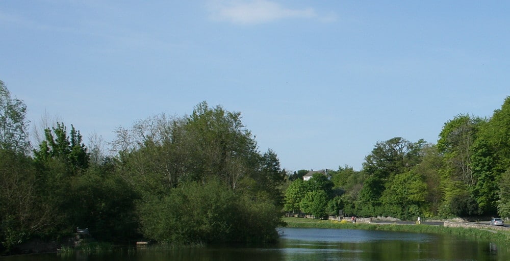 Walsh Distillery