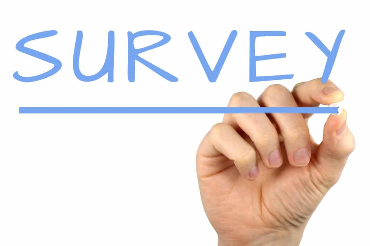 survey